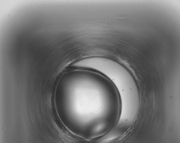 X0000062860154200601171546