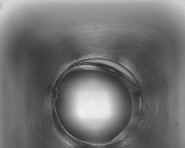 X0000062860156200601171546