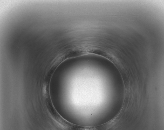 X0000062860166200601171546