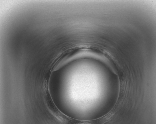 X0000062860168200601171546