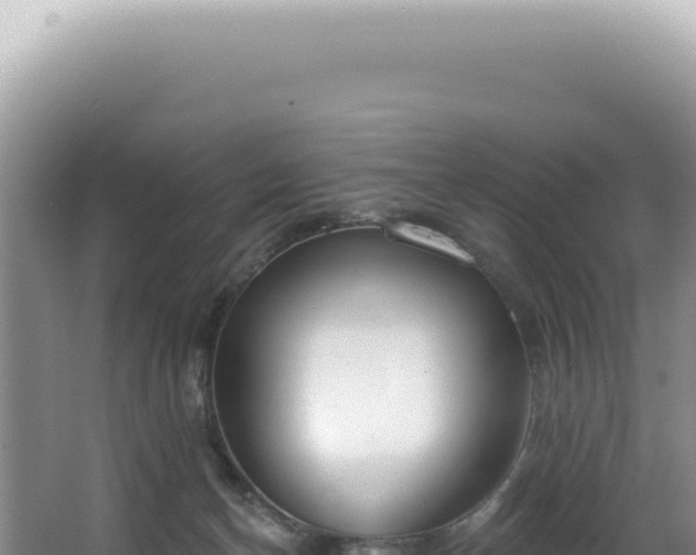 X0000062860174200601171546