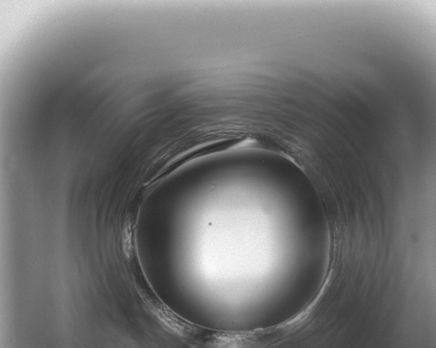 X0000062860190200601171546