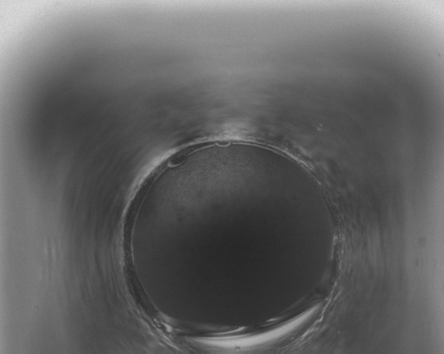 X0000062860200200601171546