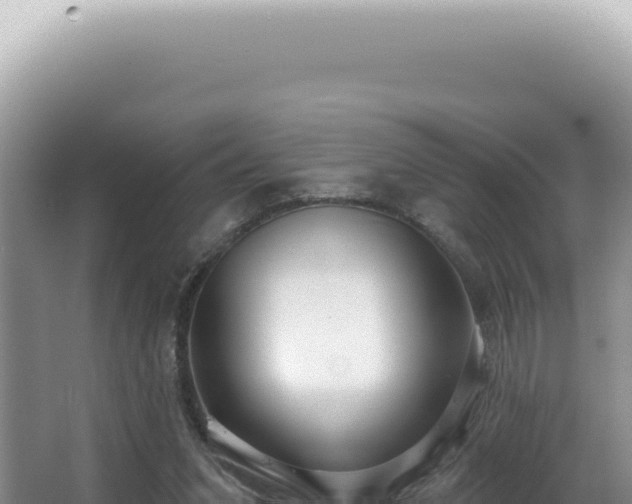 X0000062860207200601171545