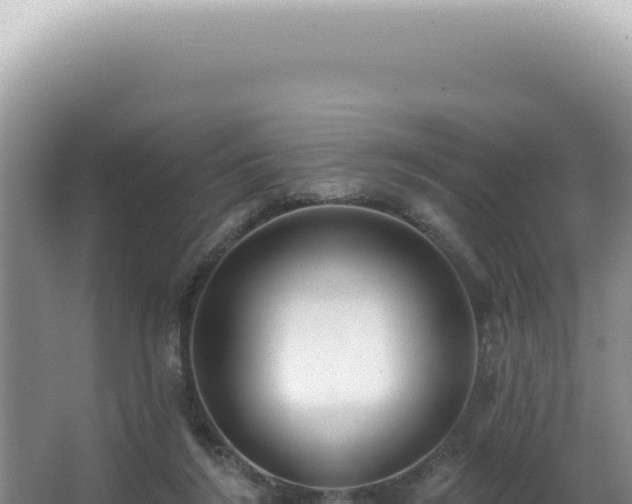X0000062860212200601171545