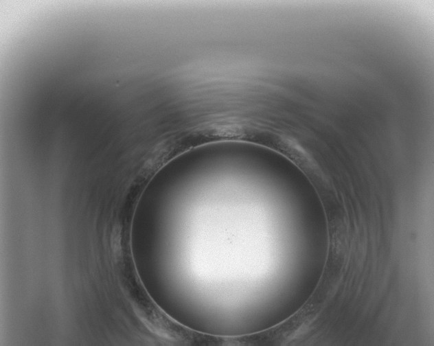 X0000062860213200601171545