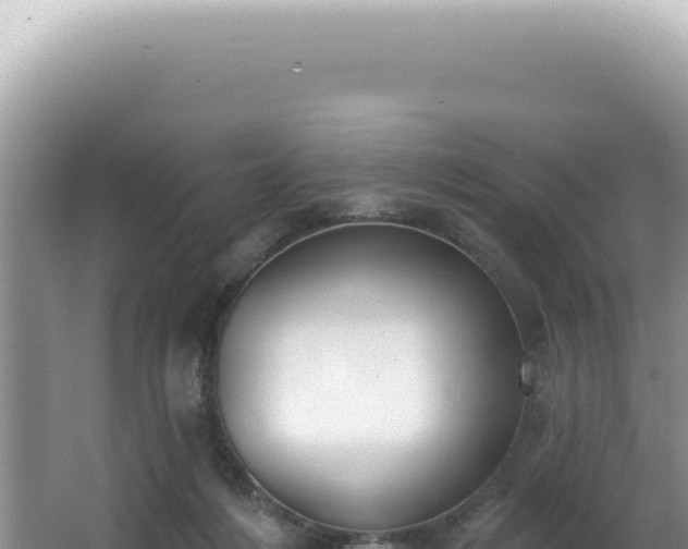X0000062860216200601171545