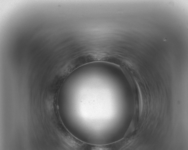 X0000062860221200601171545