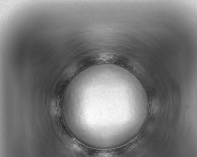 X0000062860236200601171545