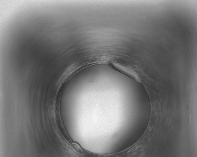 X0000062860242200601171544
