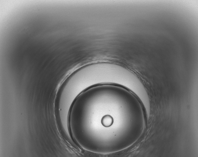 X0000062860244200601171544