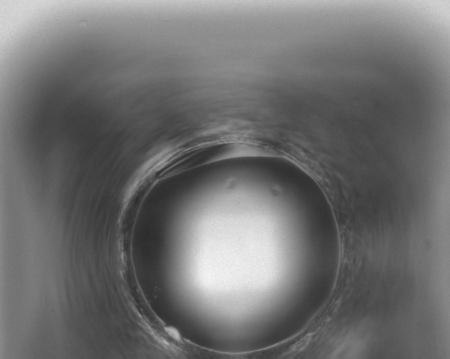X0000062860245200601171544