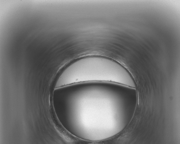 X0000062860253200601171544