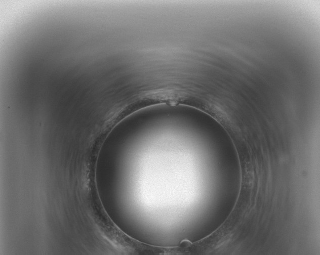 X0000062860255200601171544