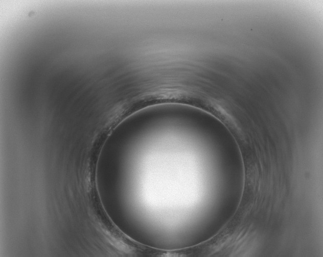 X0000062860261200601171544