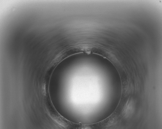 X0000062860262200601171544