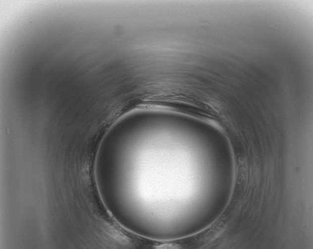 X0000062860269200601171545