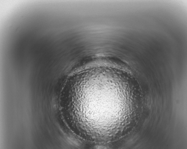 X0000062860272200601171545