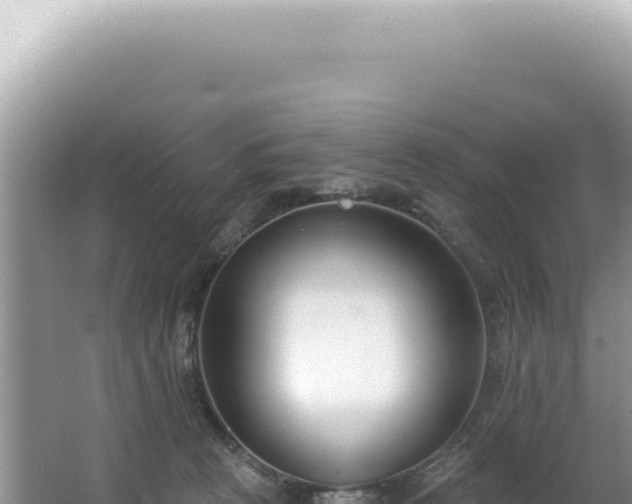 X0000062860273200601171545