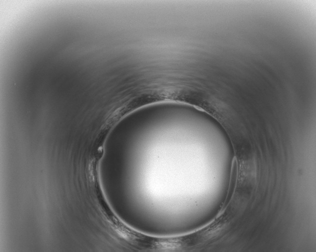X0000062860286200601171545