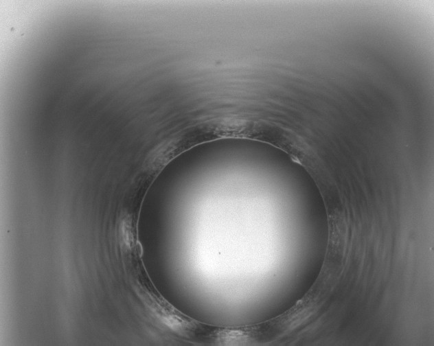 X0000062860287200601171545