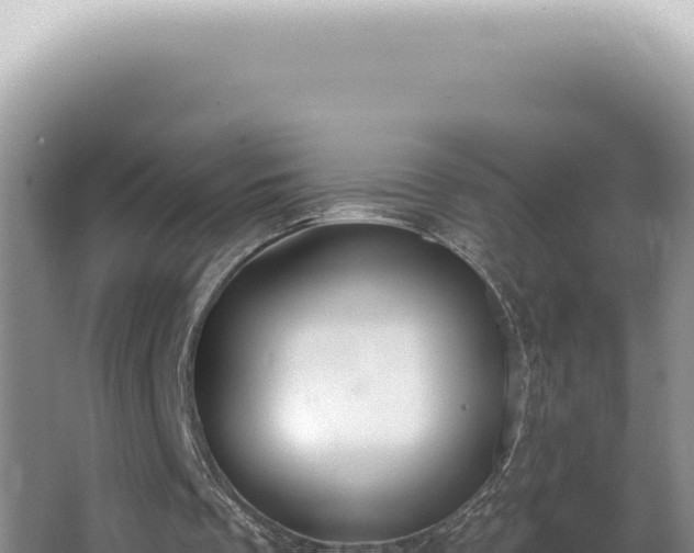X0000062860289200601171544