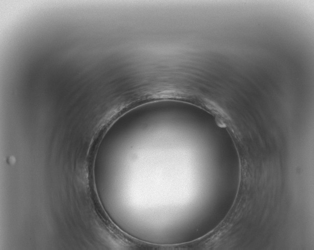 X0000062860298200601171544