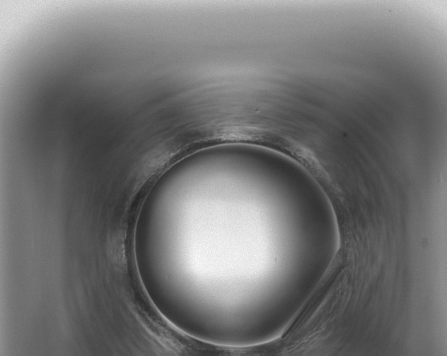X0000062860299200601171544