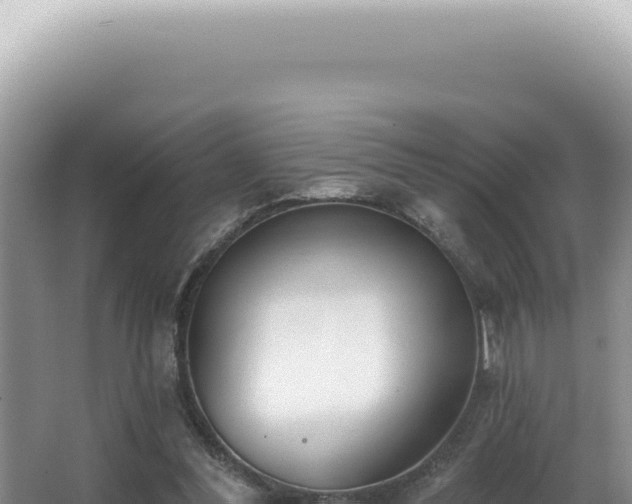 X0000062860300200601171544