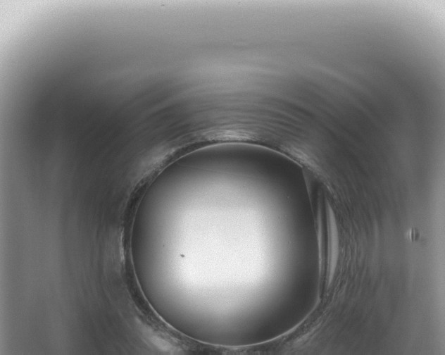 X0000062860302200601171544