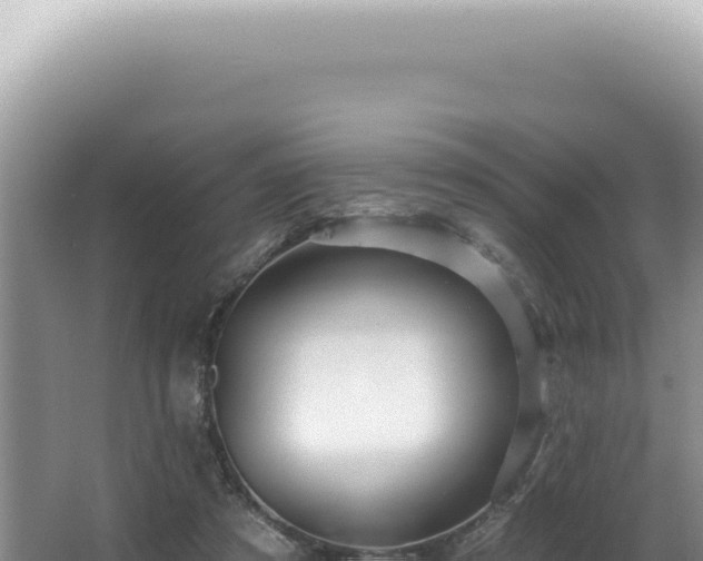 X0000062860305200601171544