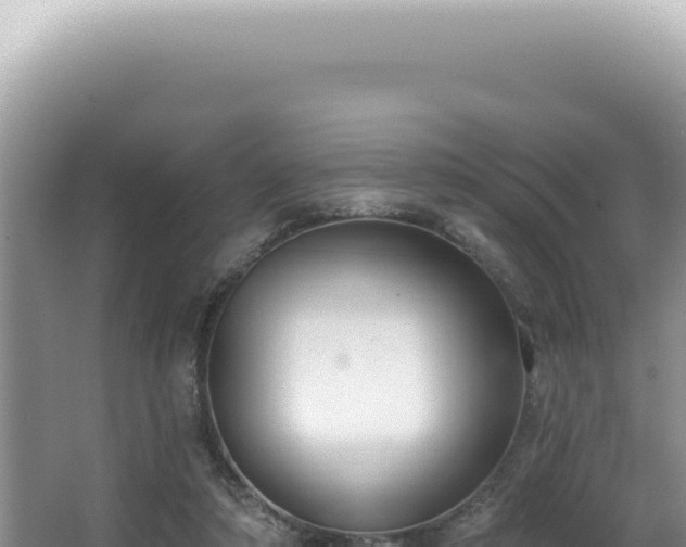 X0000062860306200601171544