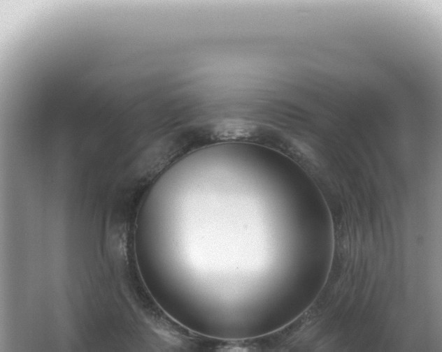 X0000062860315200601171544