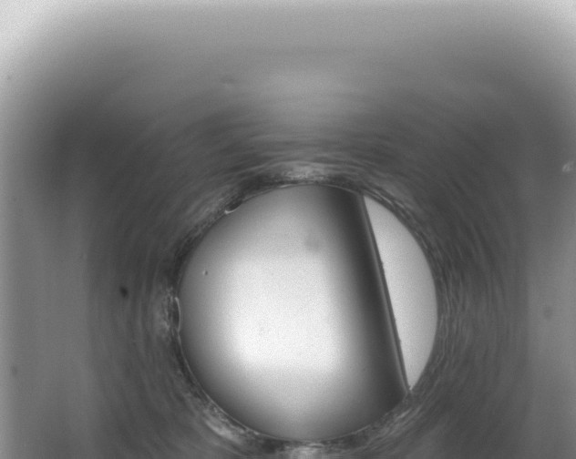 X0000062860325200601171543
