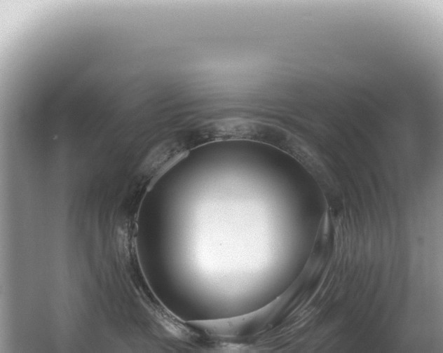 X0000062860333200601171543