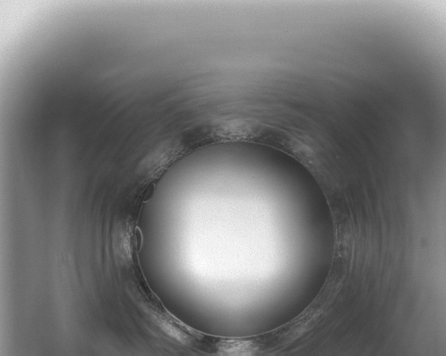 X0000062860334200601171543