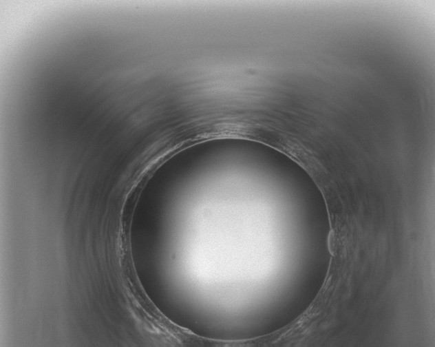 X0000062860338200601171542