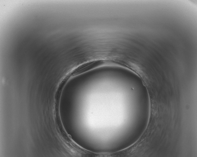 X0000062860346200601171543