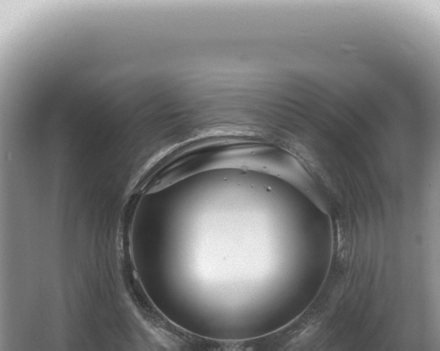 X0000062860348200601171543