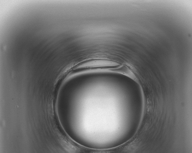 X0000062860349200601171543