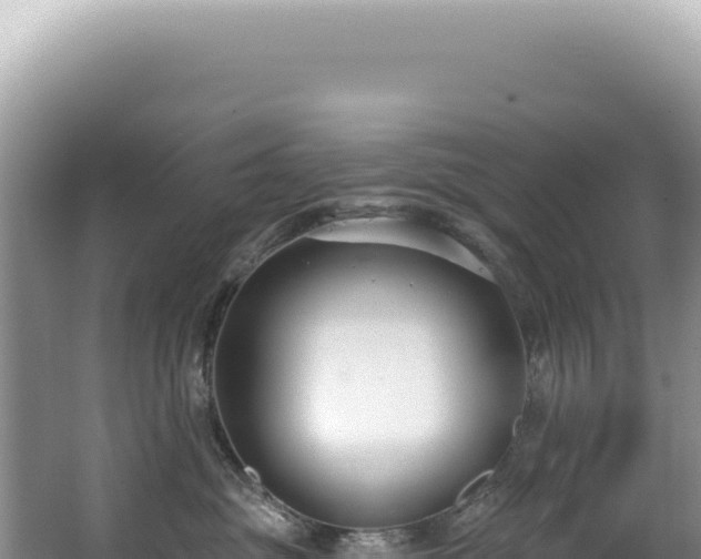 X0000062860381200601171543