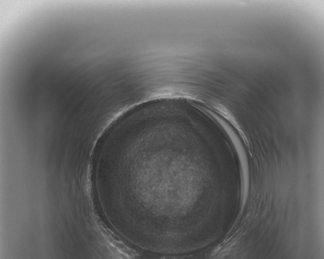 X0000062860387200601171542