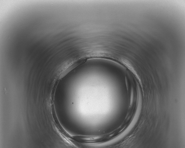 X0000062860389200601171542