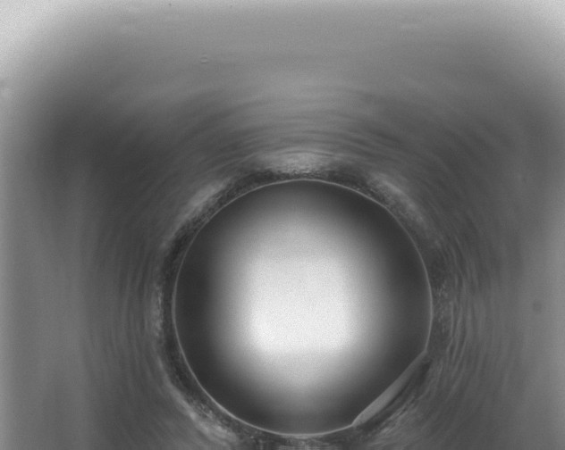 X0000062860400200601171542