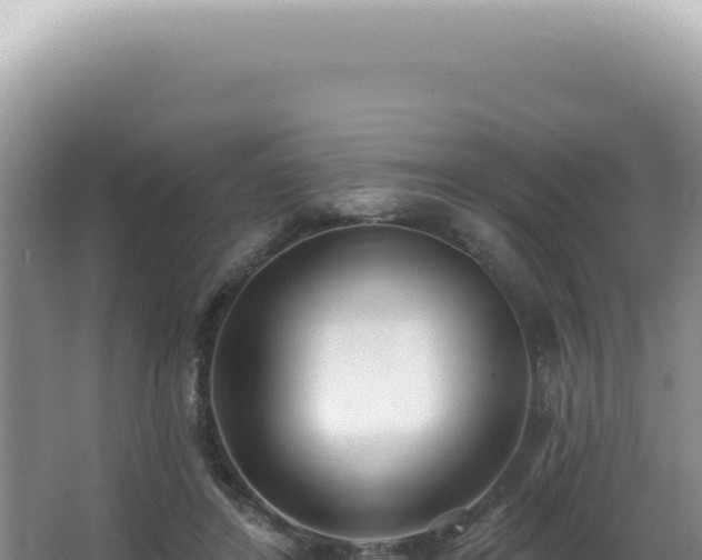 X0000062860404200601171542