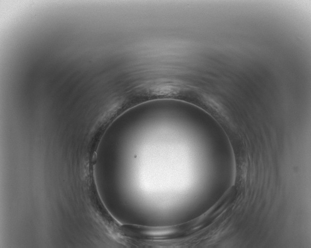 X0000062860407200601171542