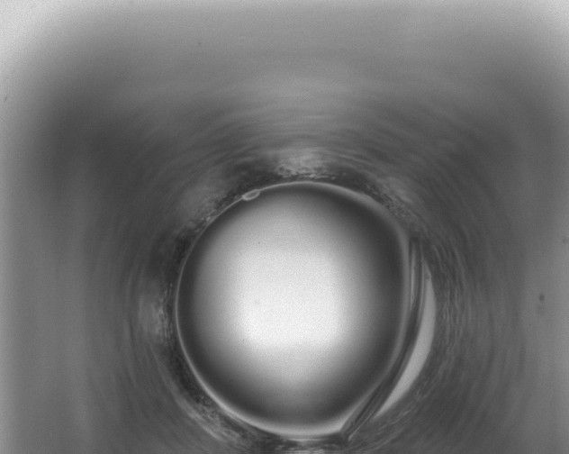 X0000062860408200601171542