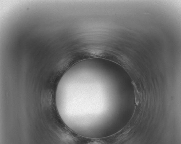 X0000062860412200601171542