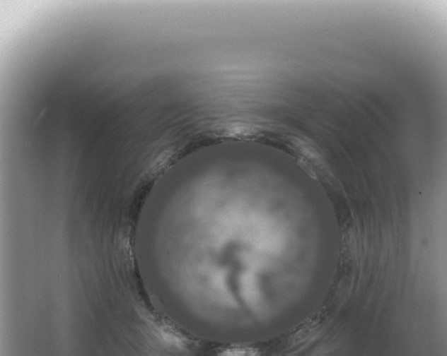 X0000062860415200601171542