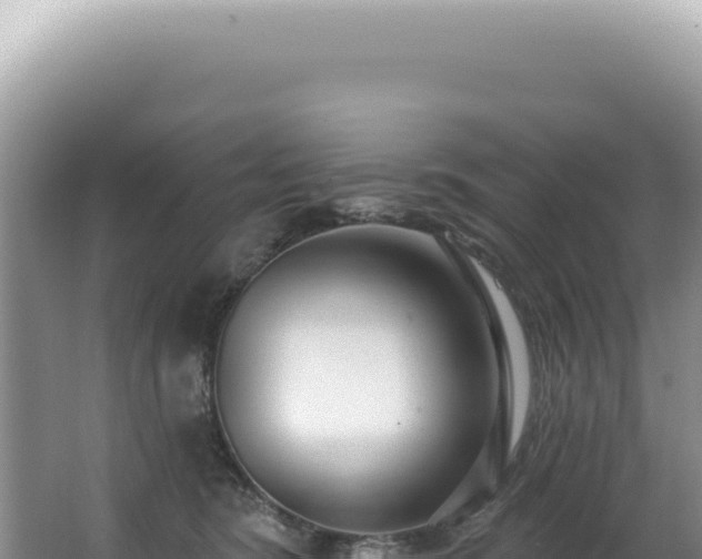 X0000062860420200601171542